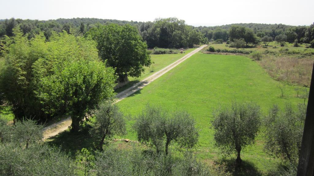 La Locaia Apartment Siena Exterior photo